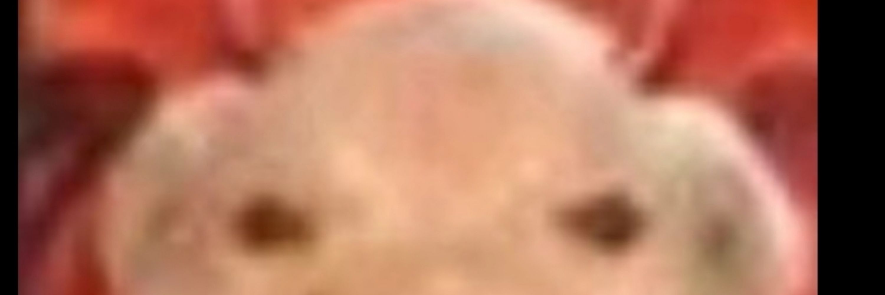 Victor