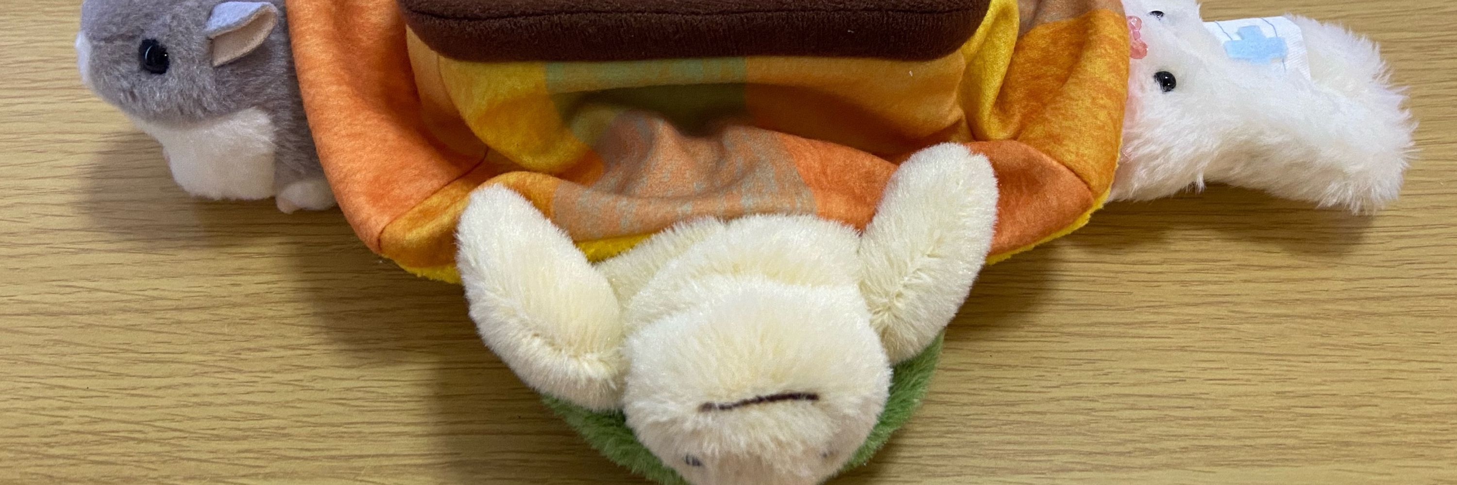 ピー蔵