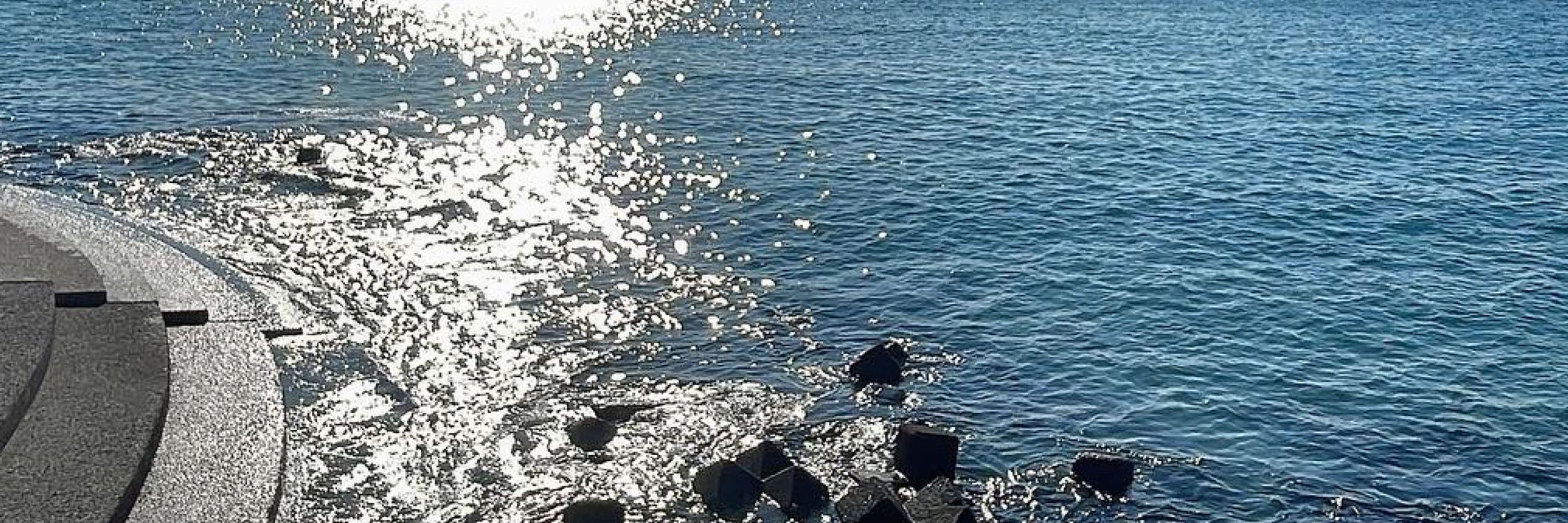 海鯨小福
