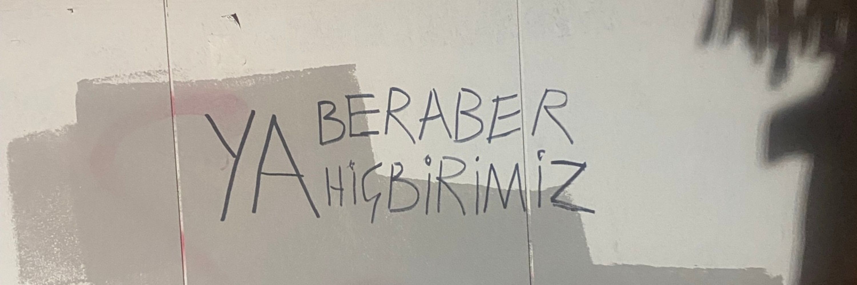 Azgın Azınlık Partisi
