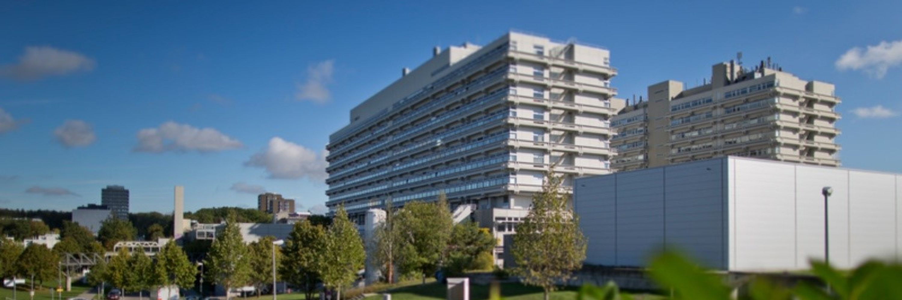 KruegerResearchLab
