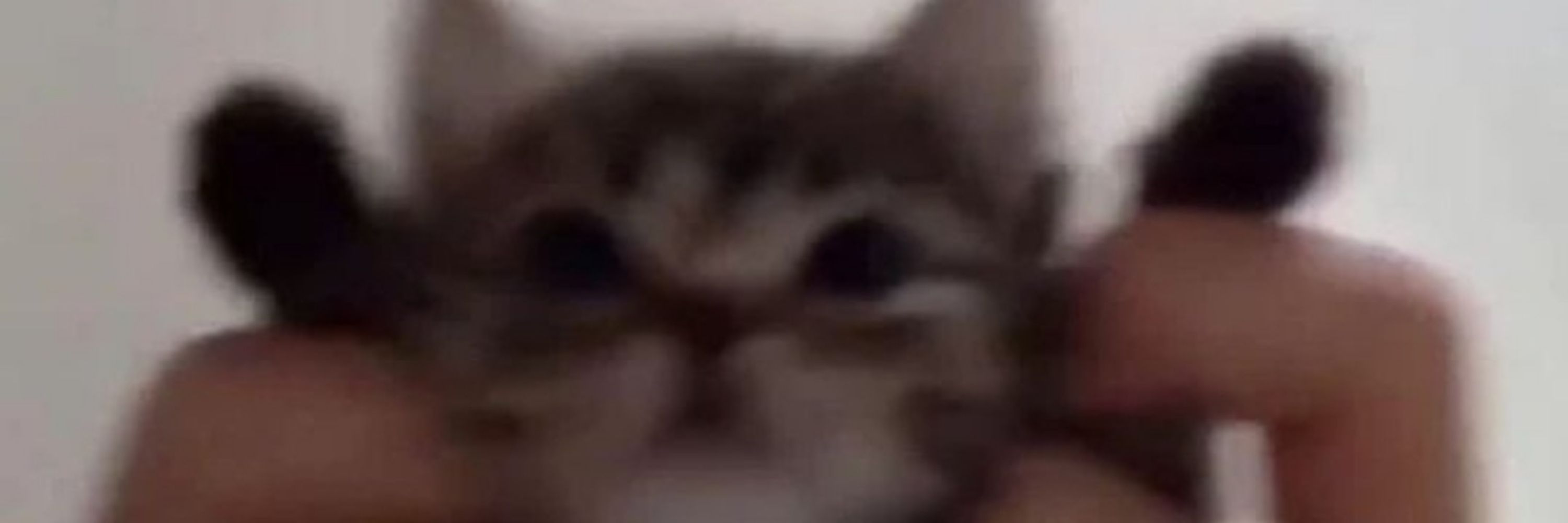 kibby :'(