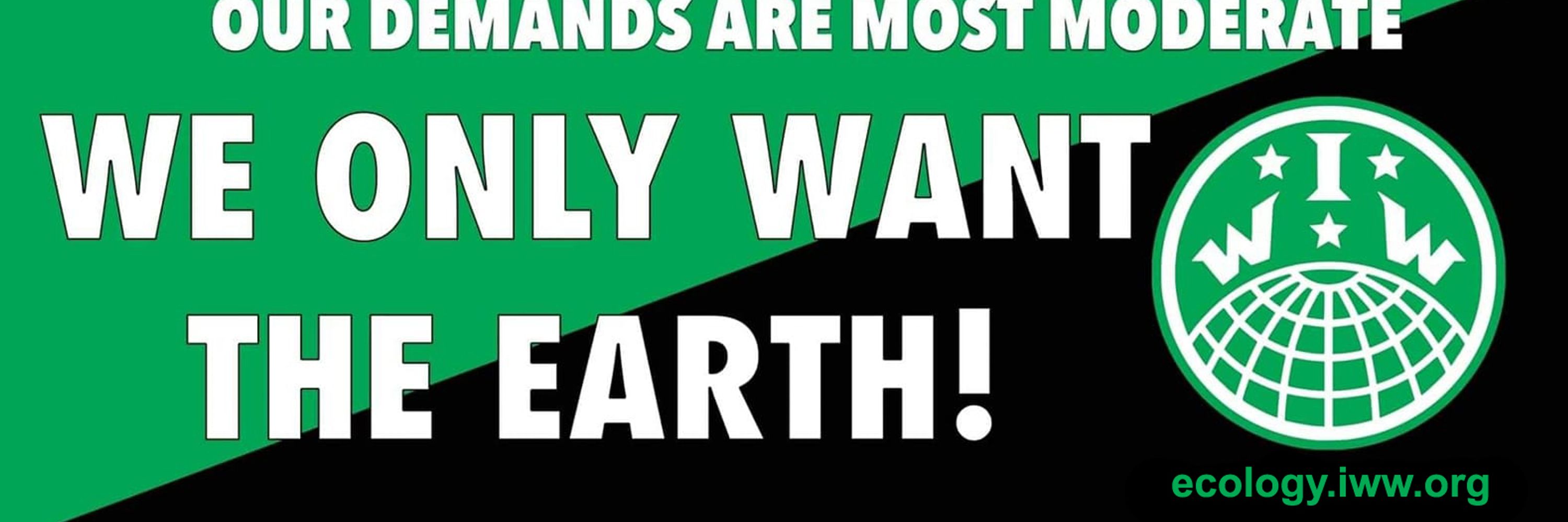 That Green Union Guy