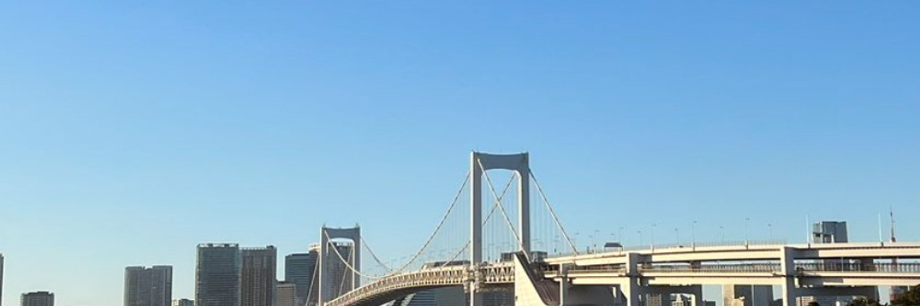 カマス