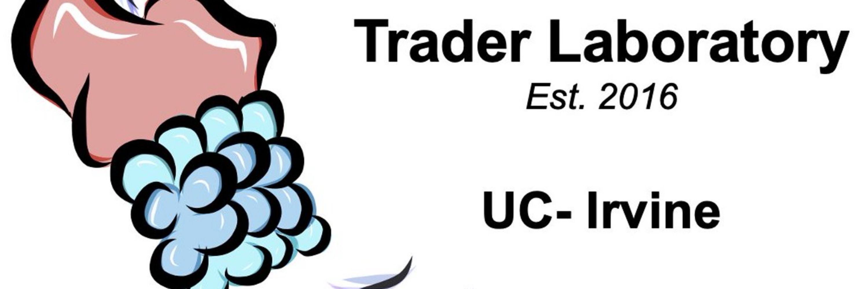Trader Lab