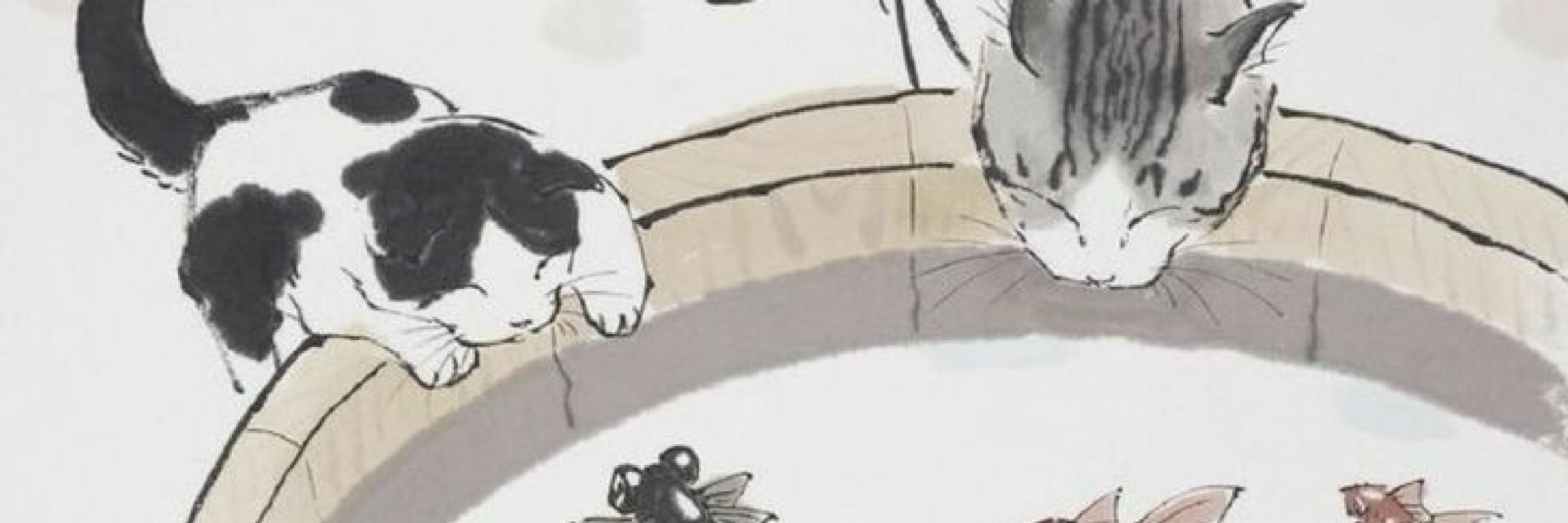 miaumiau catcat