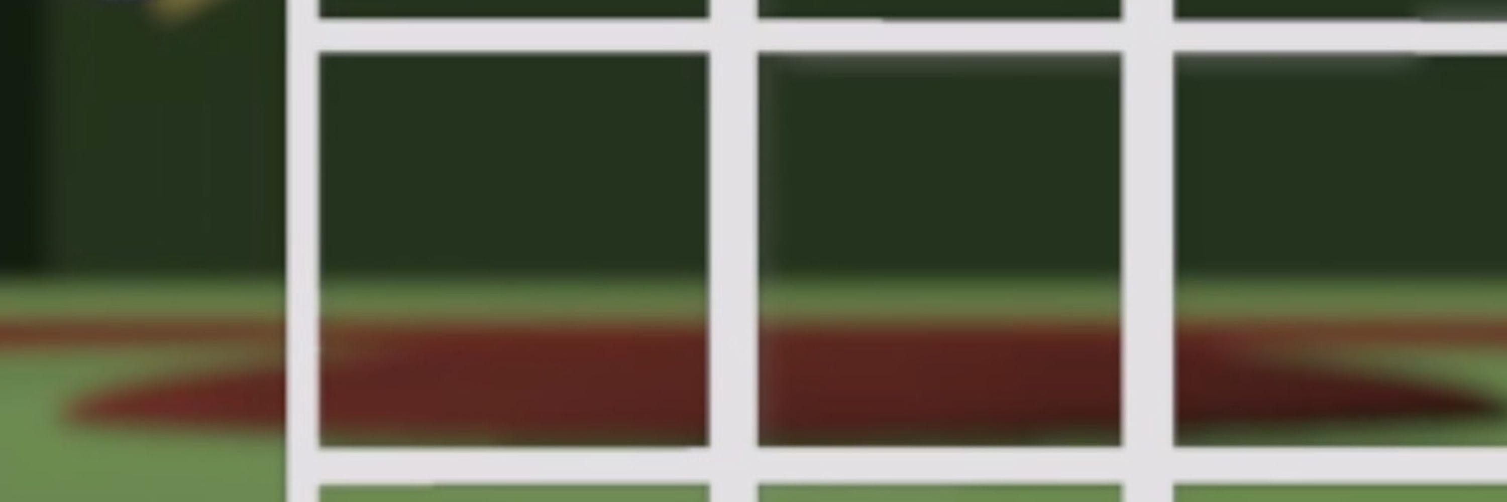 The Ump Show