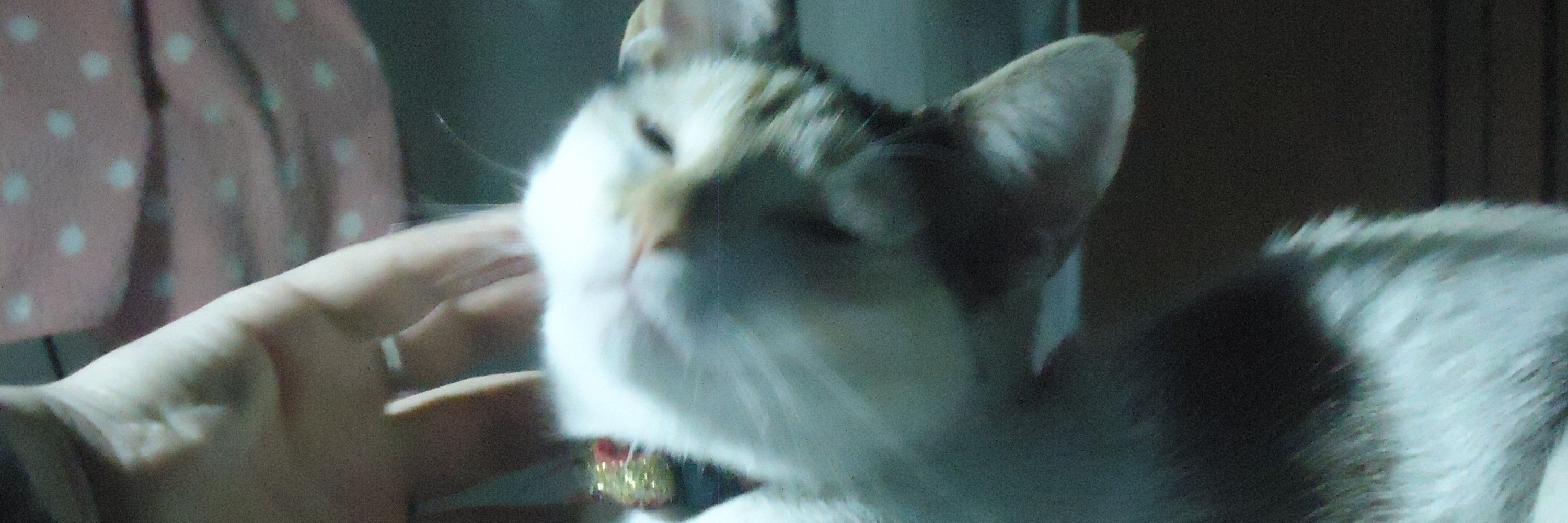 Ton