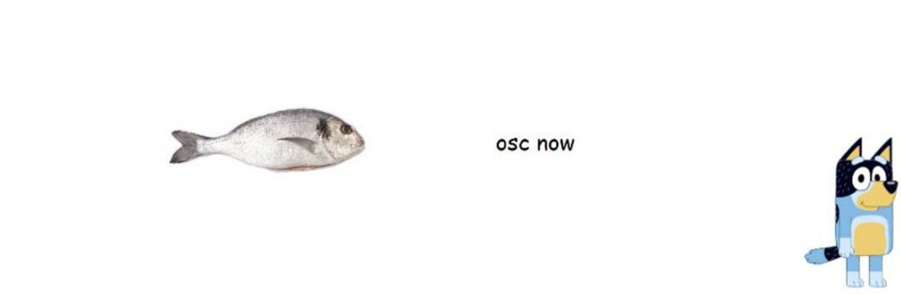 osc now