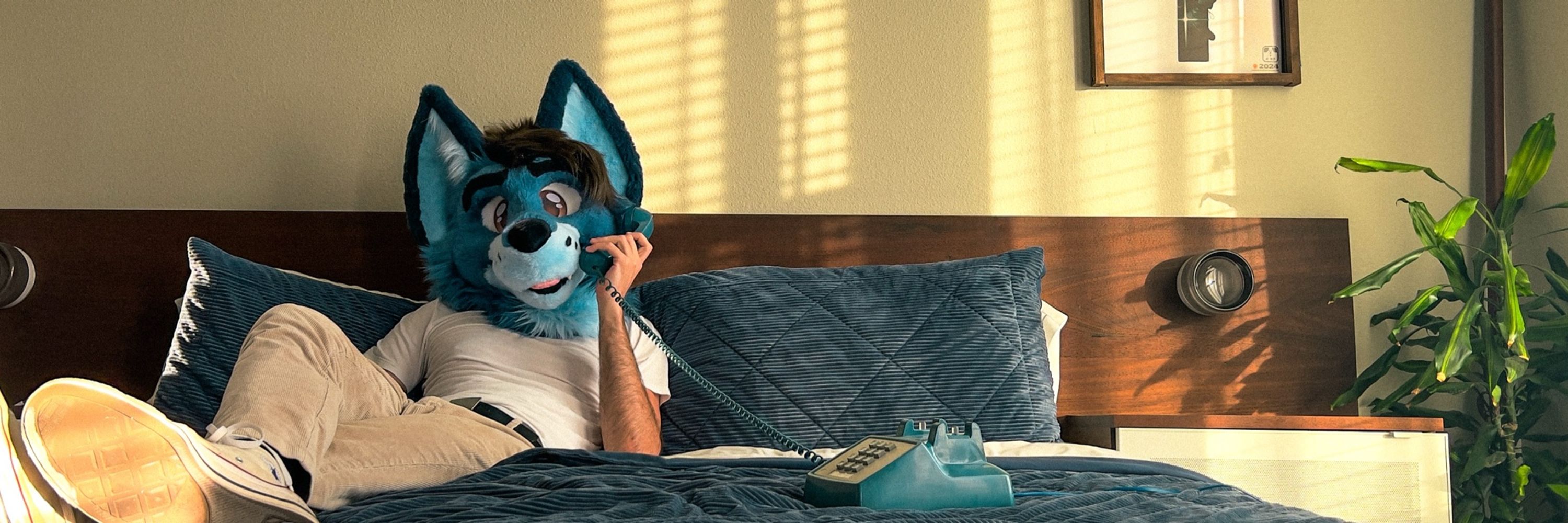 Felix Fox | Q-Fox