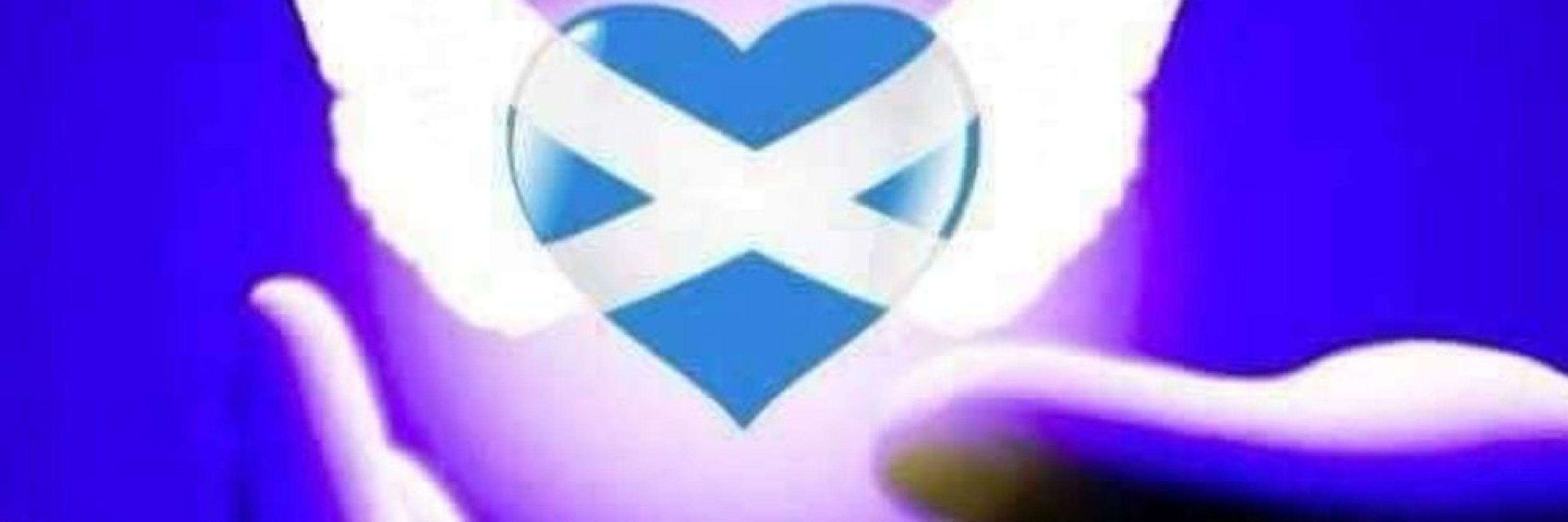 Nanboyd 💙🏴󠁧󠁢󠁳󠁣󠁴󠁿💙