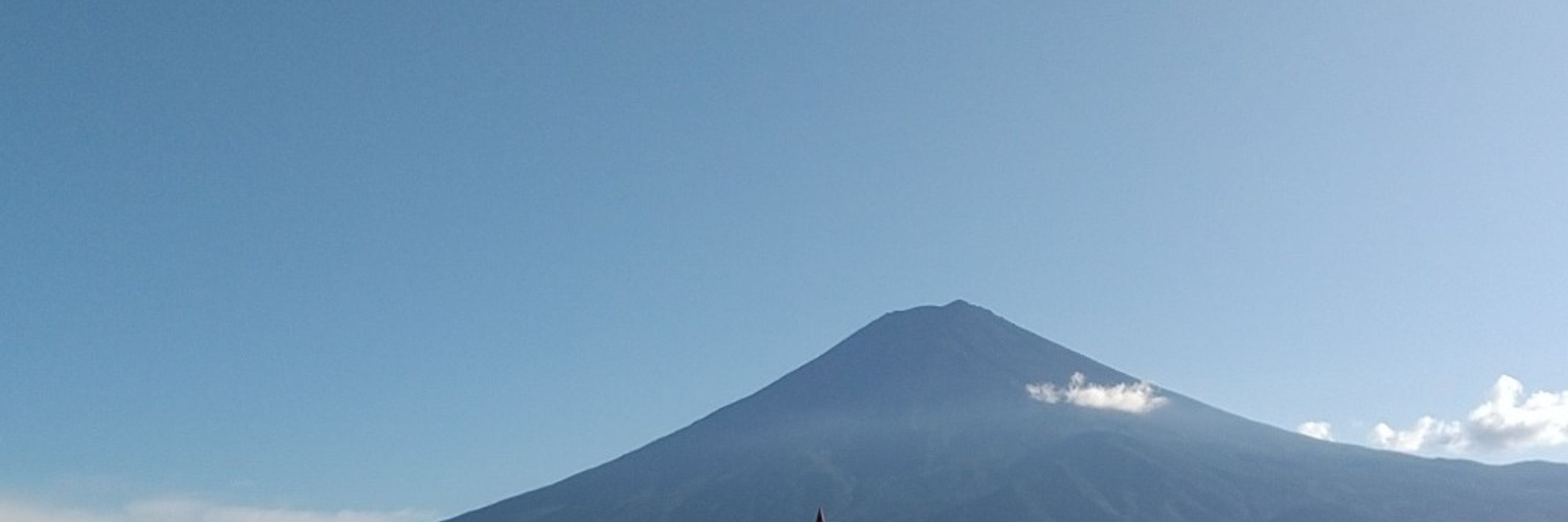 ぶうですよ