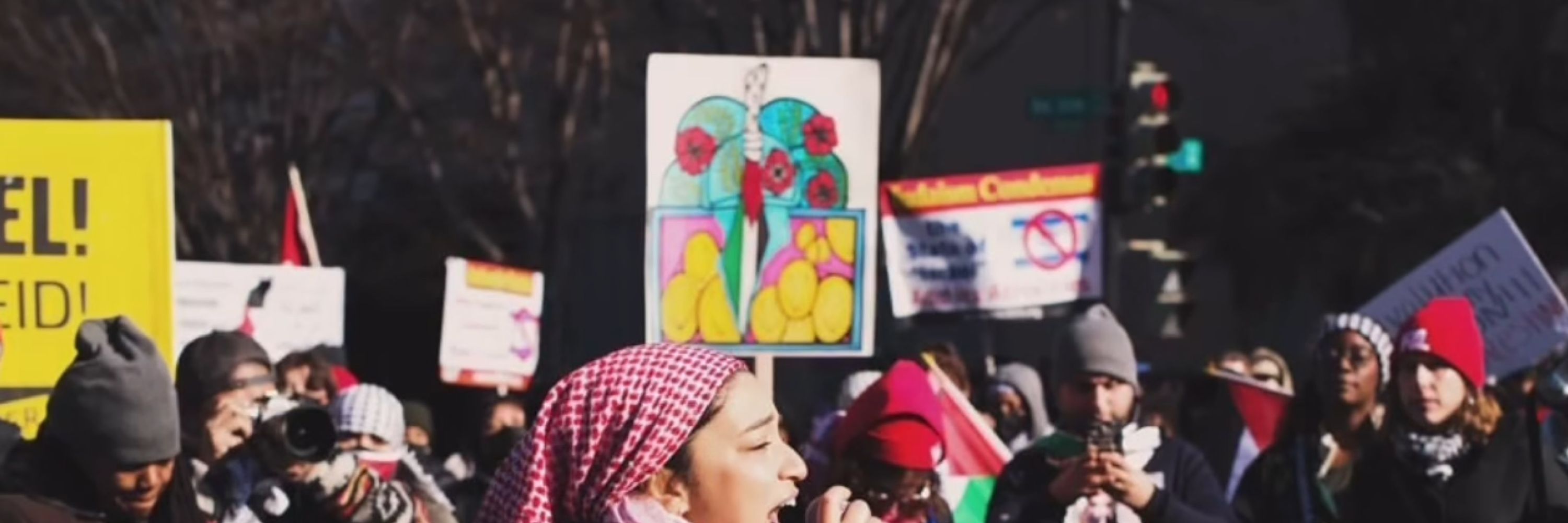 🇵🇸🍉Alix Maya🍉🇵🇸 FREE PALESTINE 