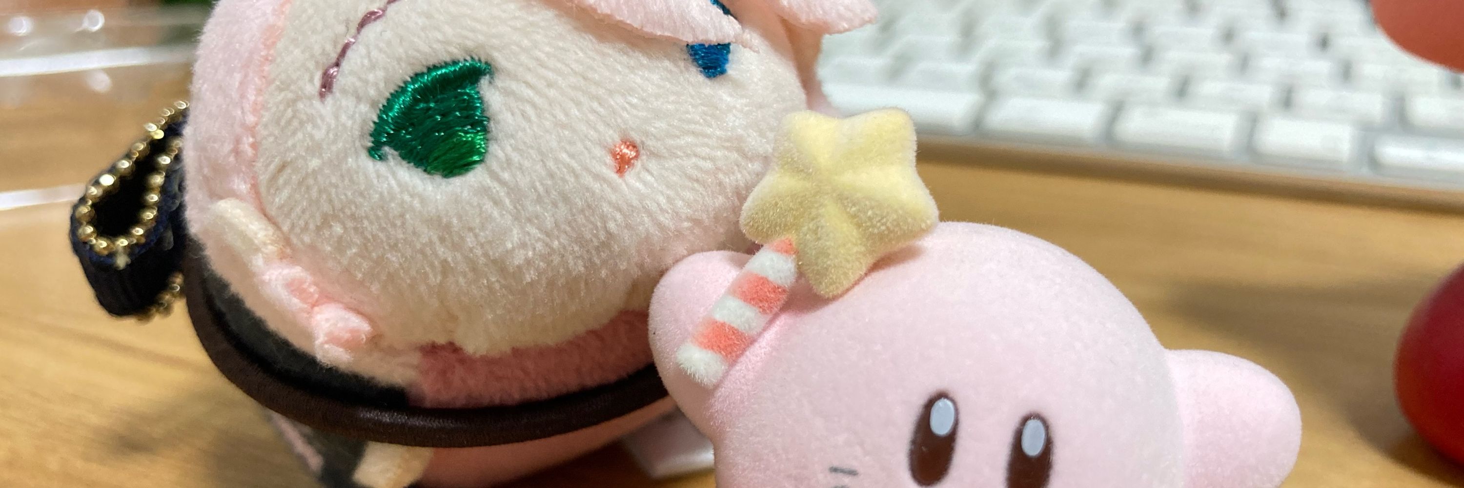 あかじそ🐥