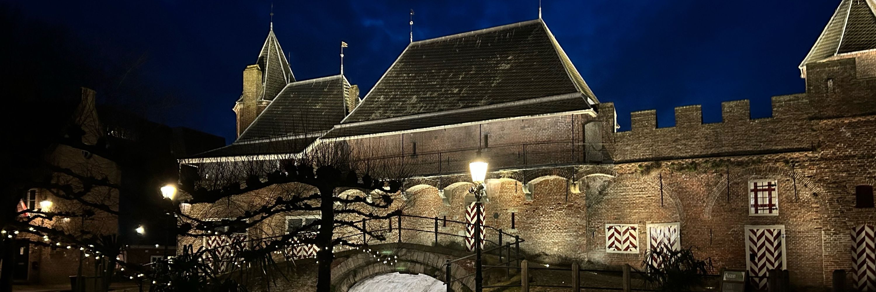 Anne Brug