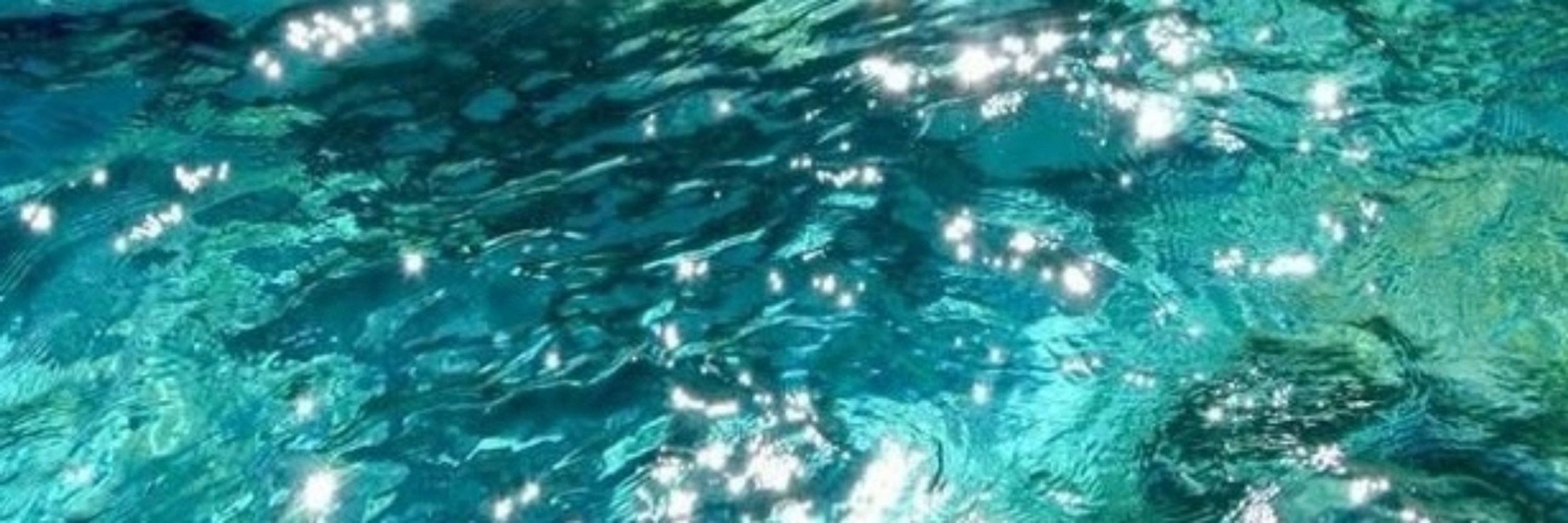 AeS 🦈