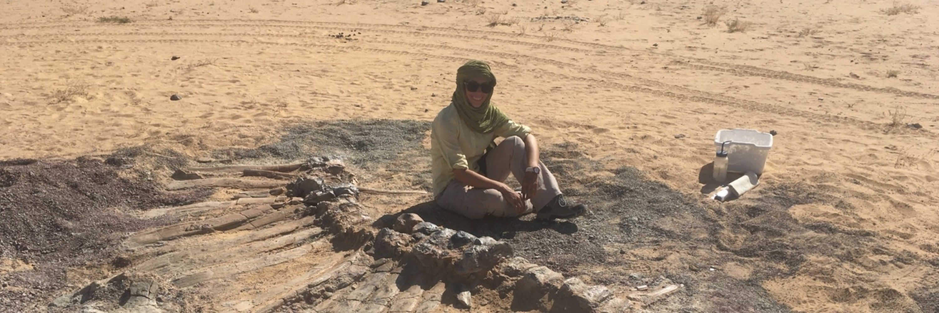 Stephanie Baumgart, PhD 🦖🦆