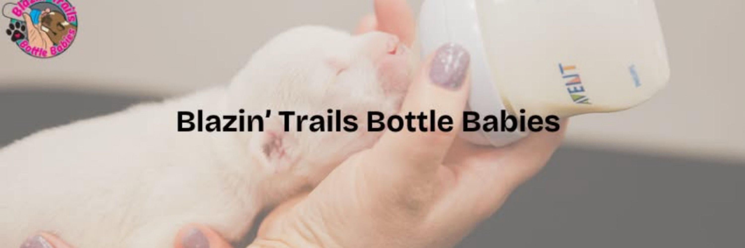 Blazin’ Trails Bottle Babies