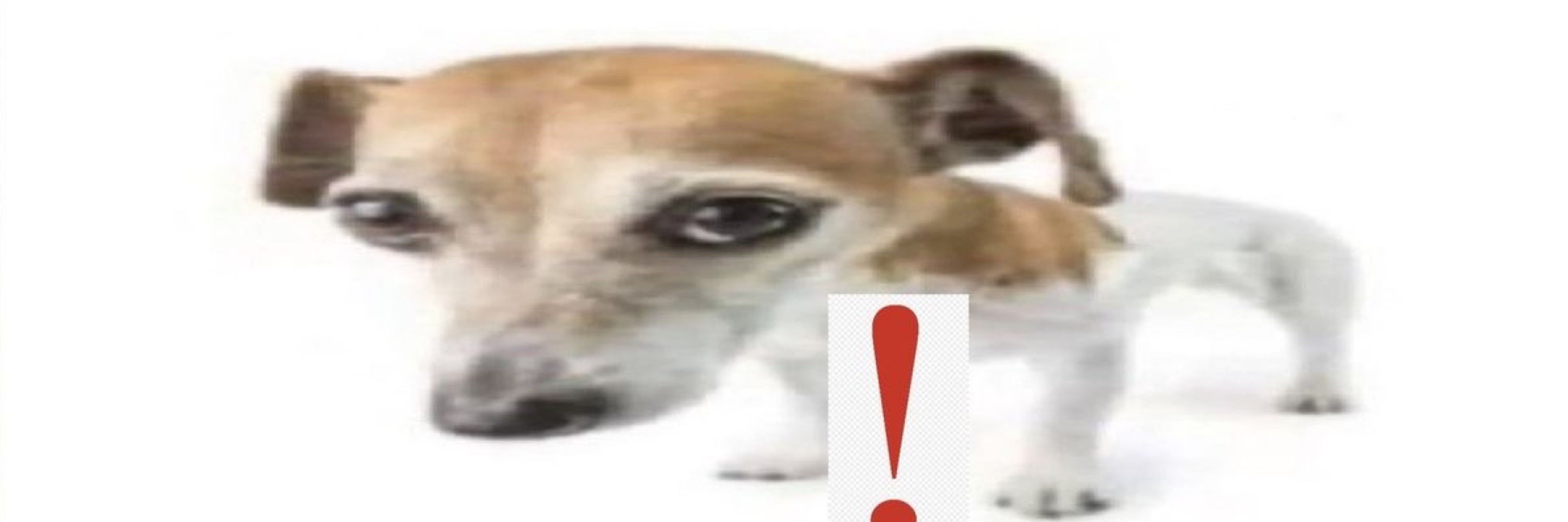 caíque