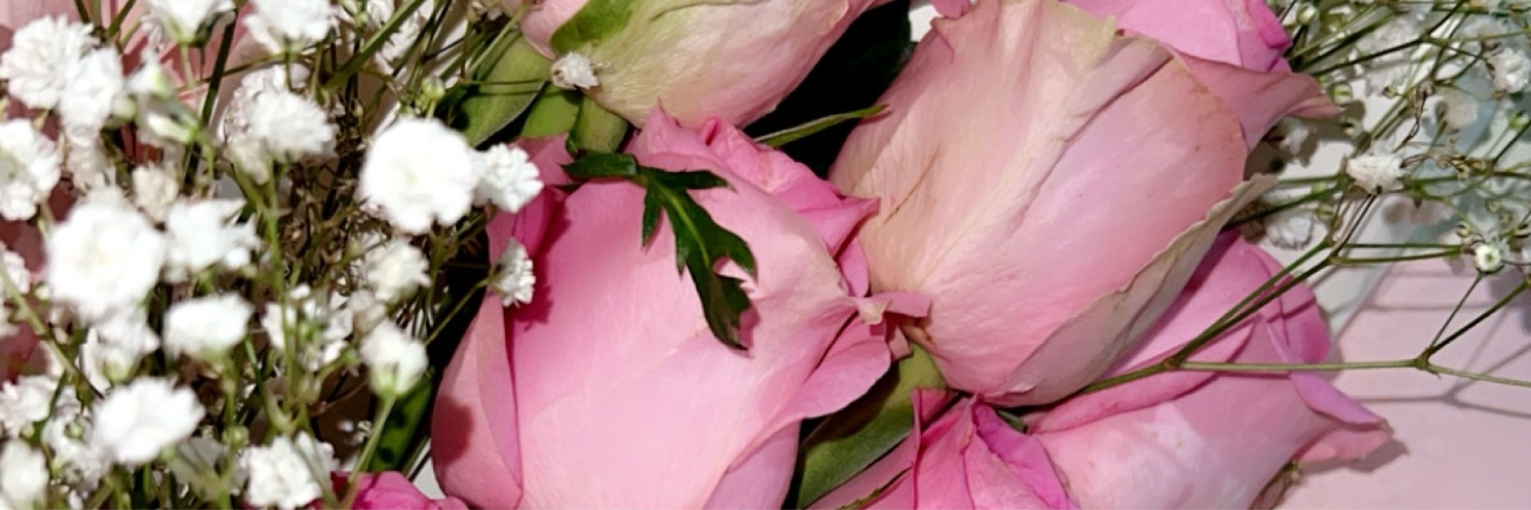 Hafsa H malik