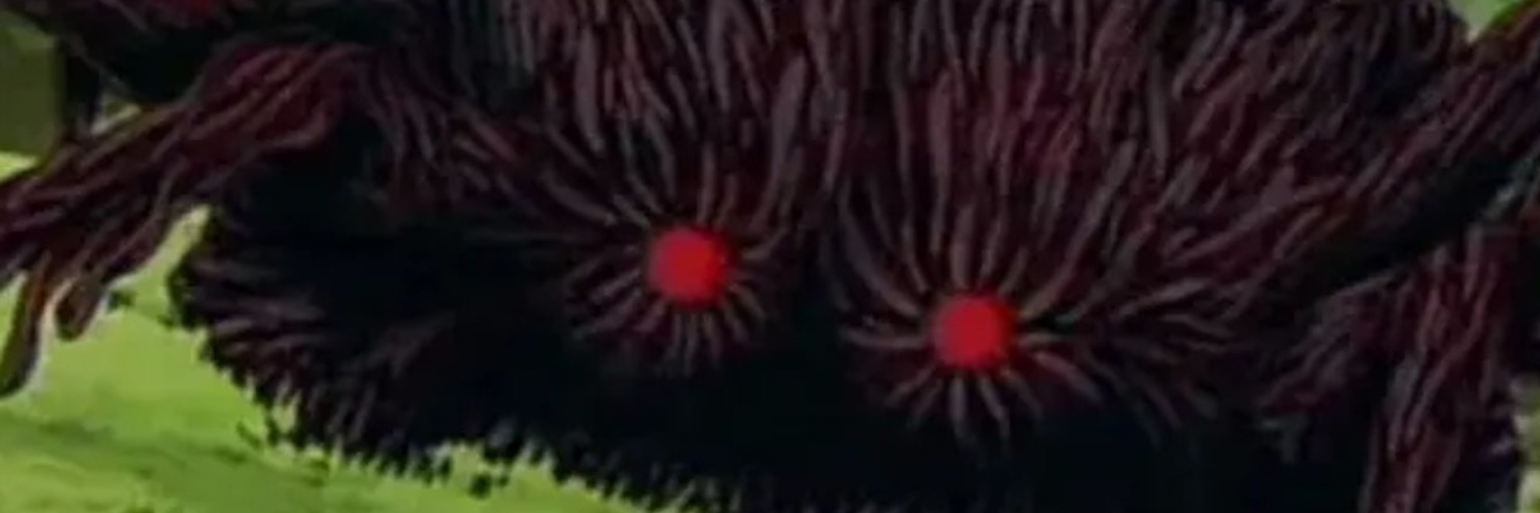 Octoshroom (Beetle King)