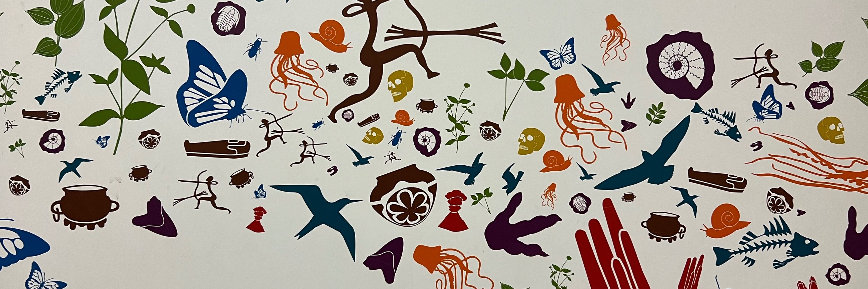 Stephanie Boyle