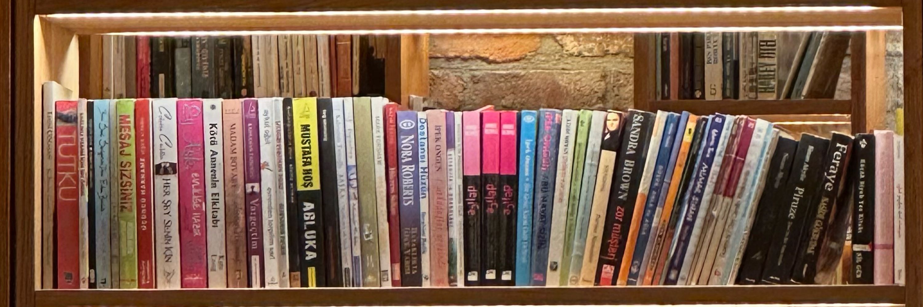 Kitap Özetleri