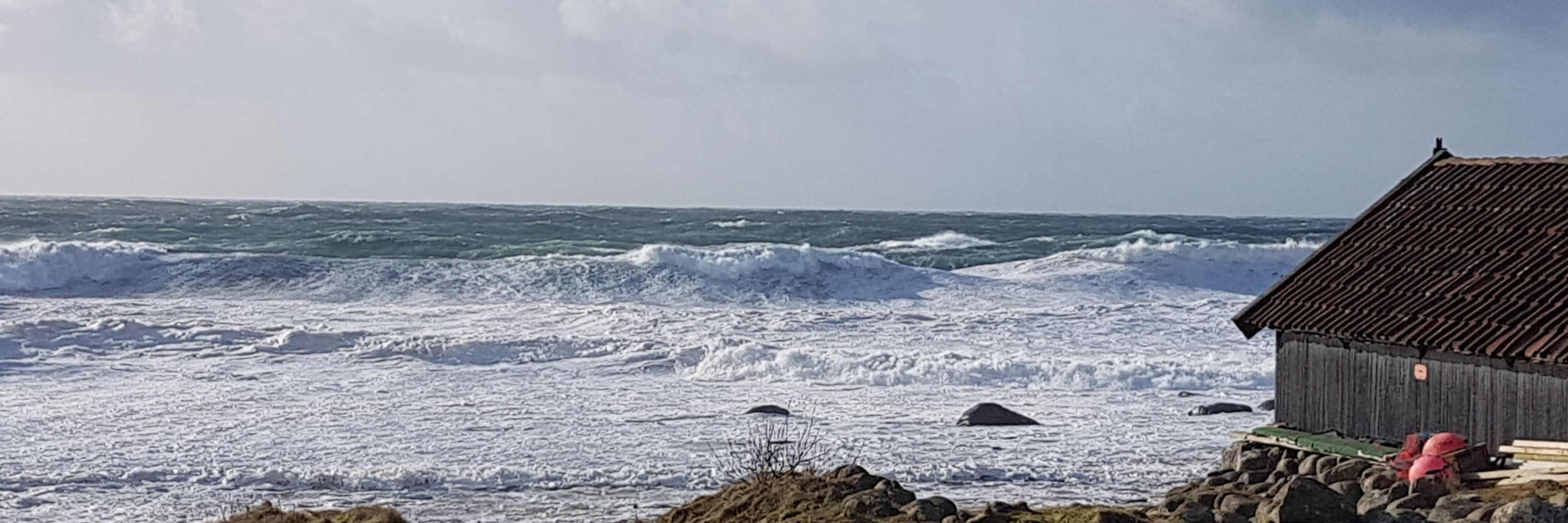 Toril Moi