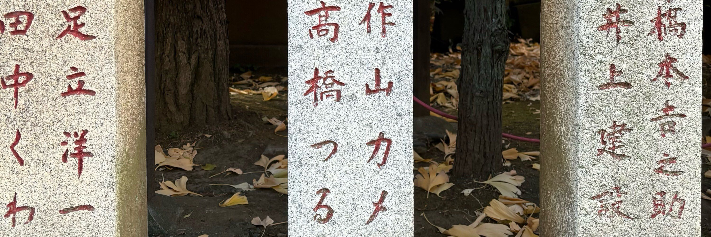 Chihiro Fukazawa