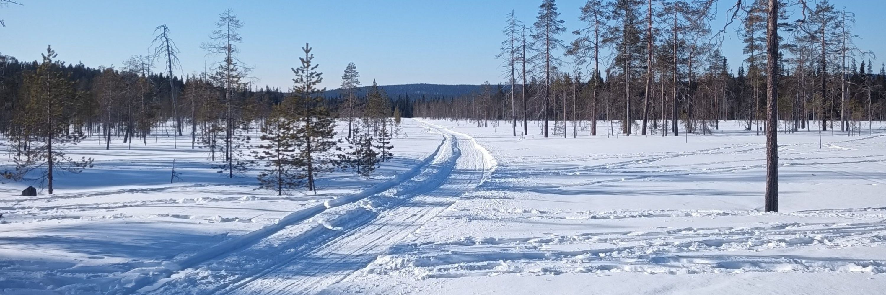 Tonttu Torvinen
