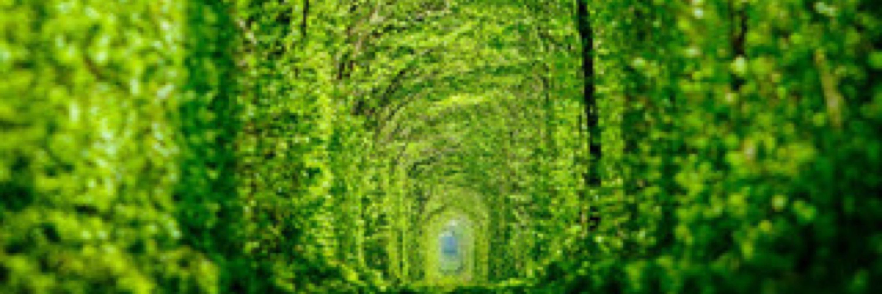 ゲーム