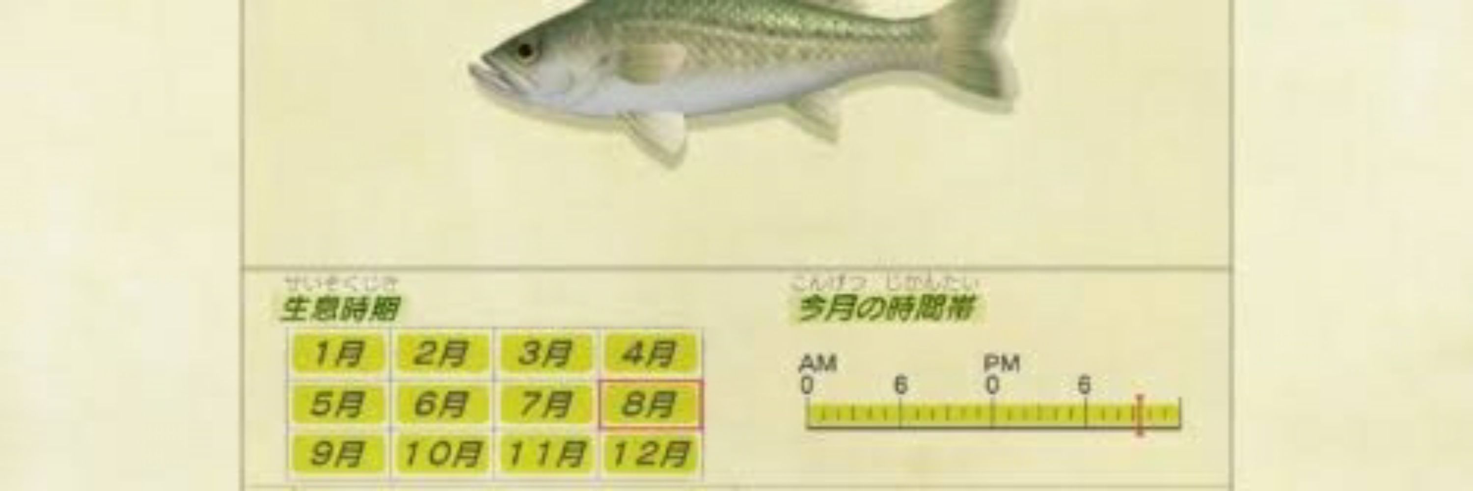 ほのげ