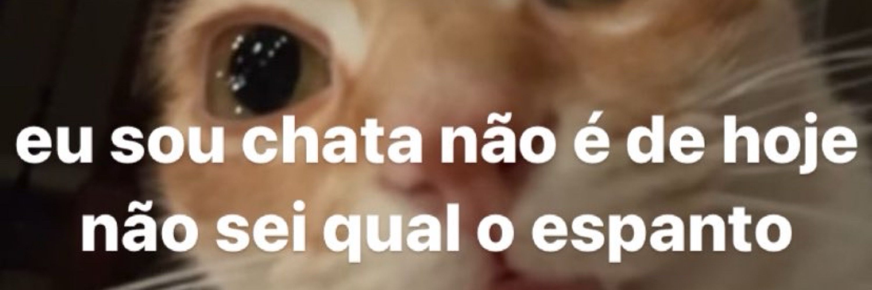 Bia n carai s 