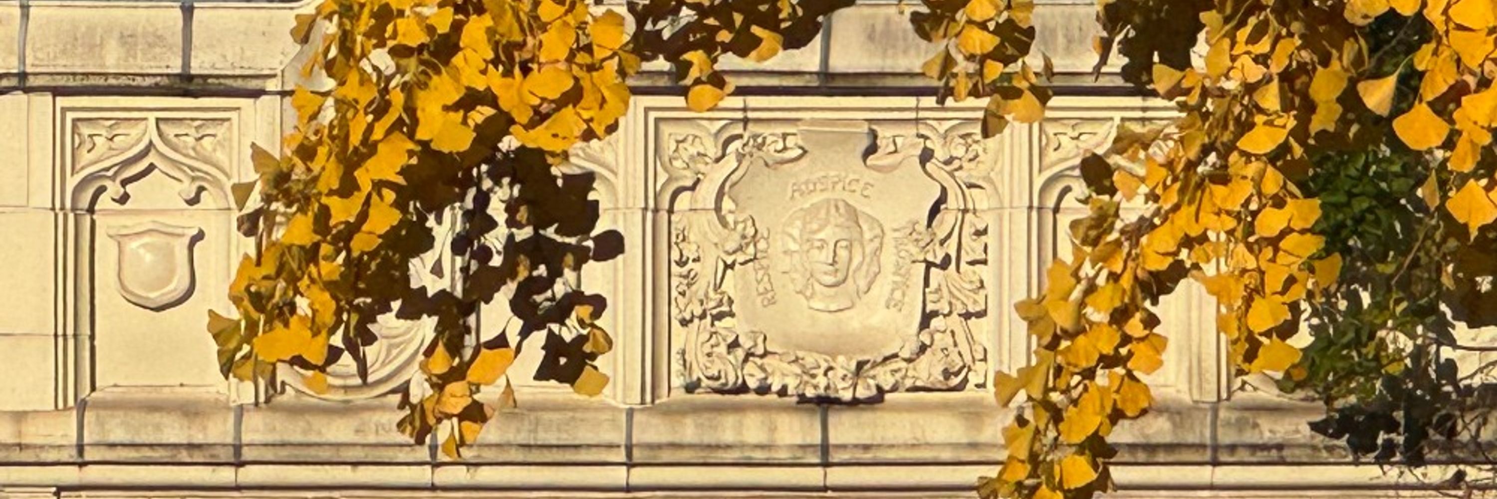 CCNY History Department