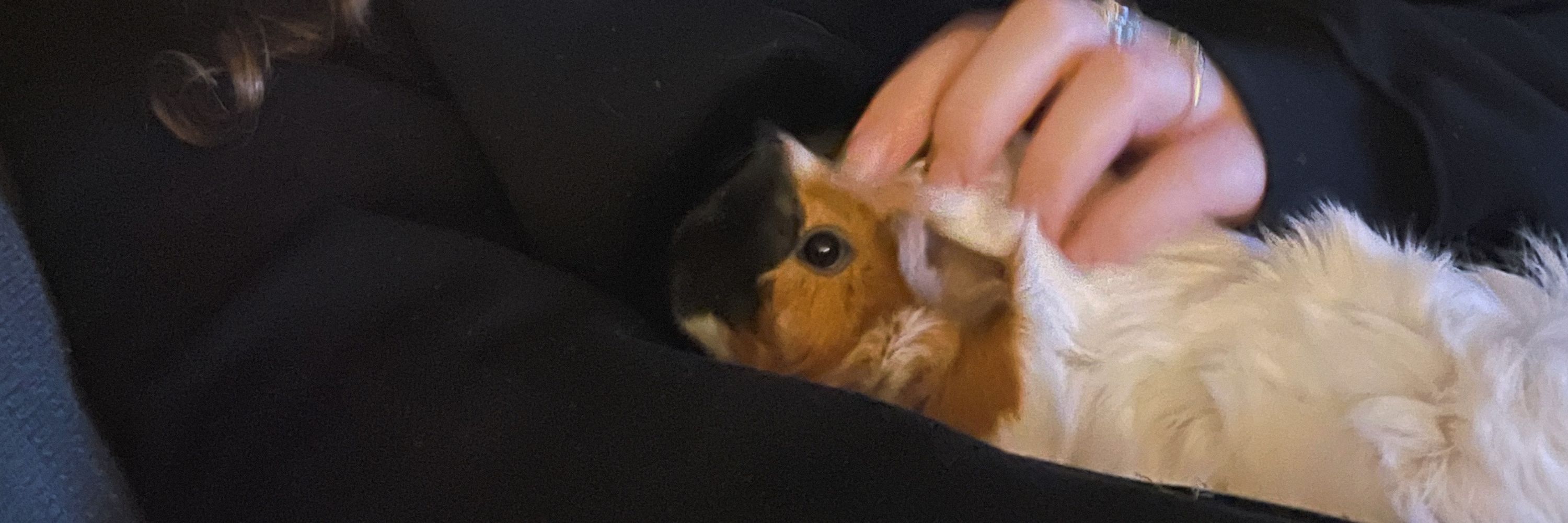 Lucy