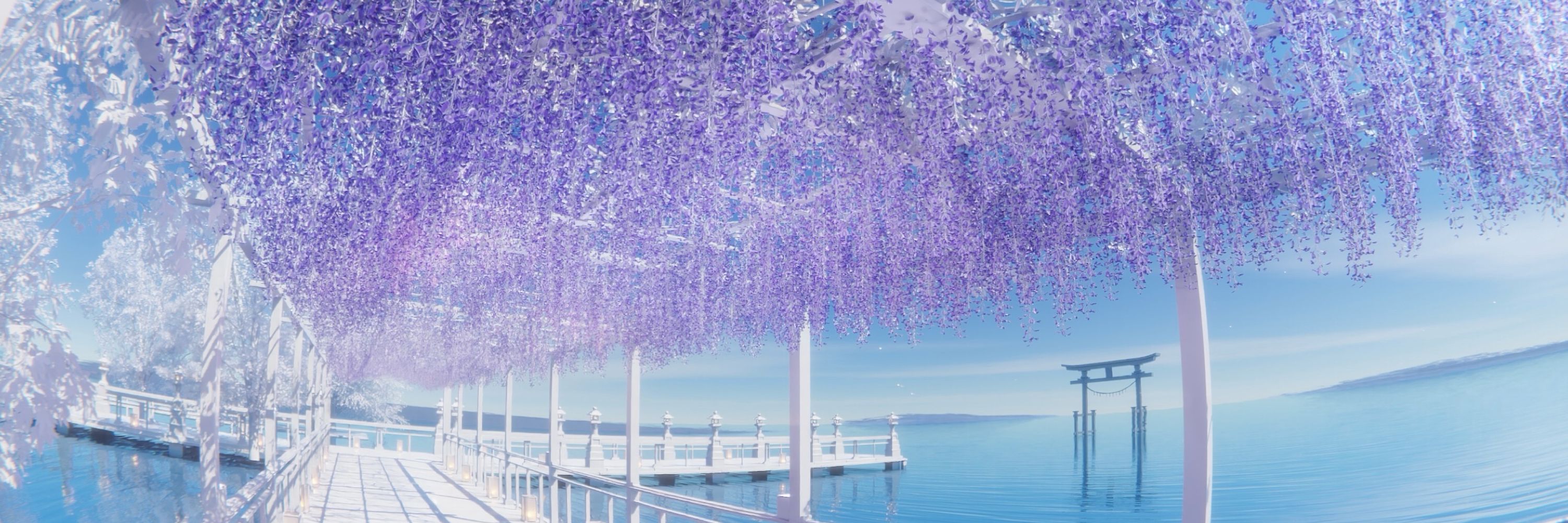 sachiko15