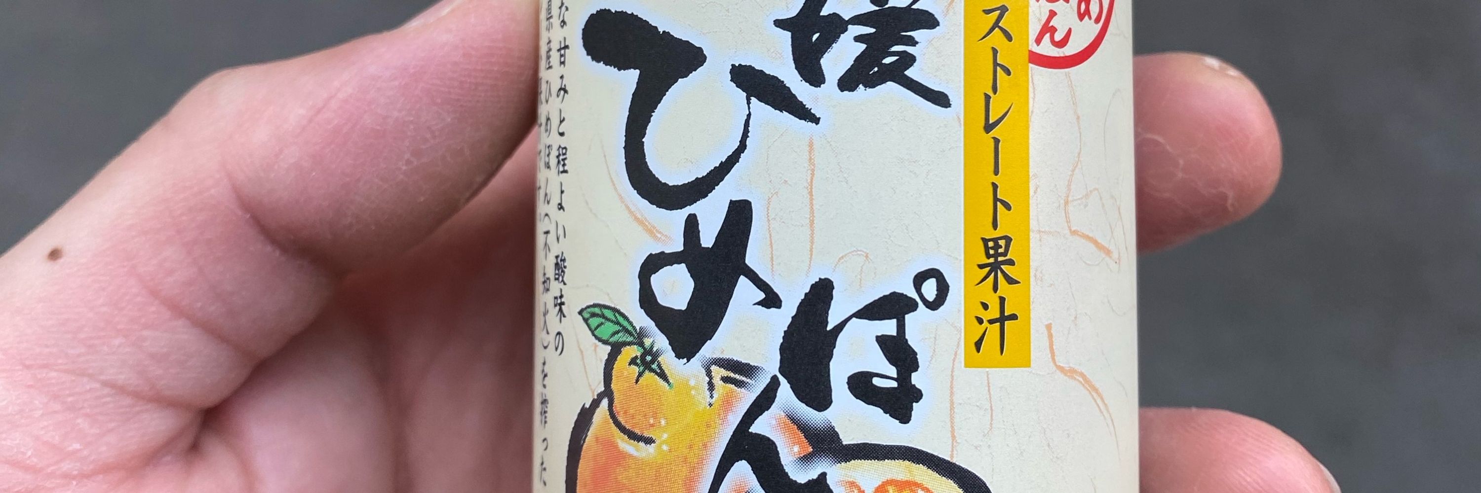 たけポン。