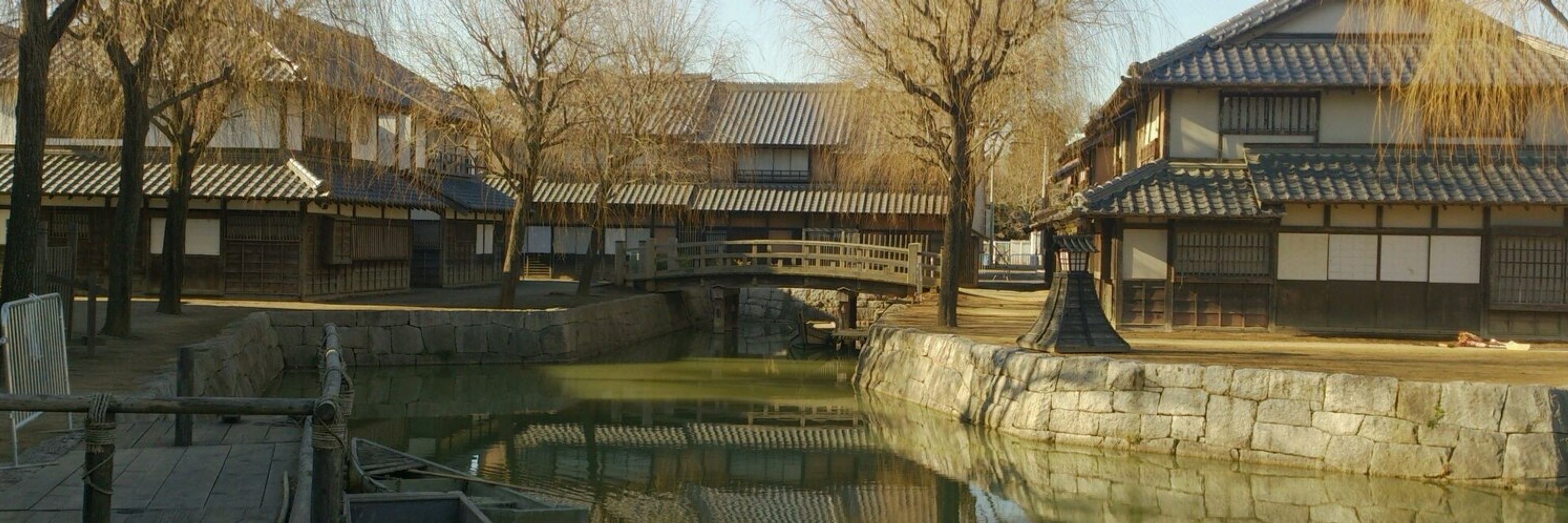 sachi
