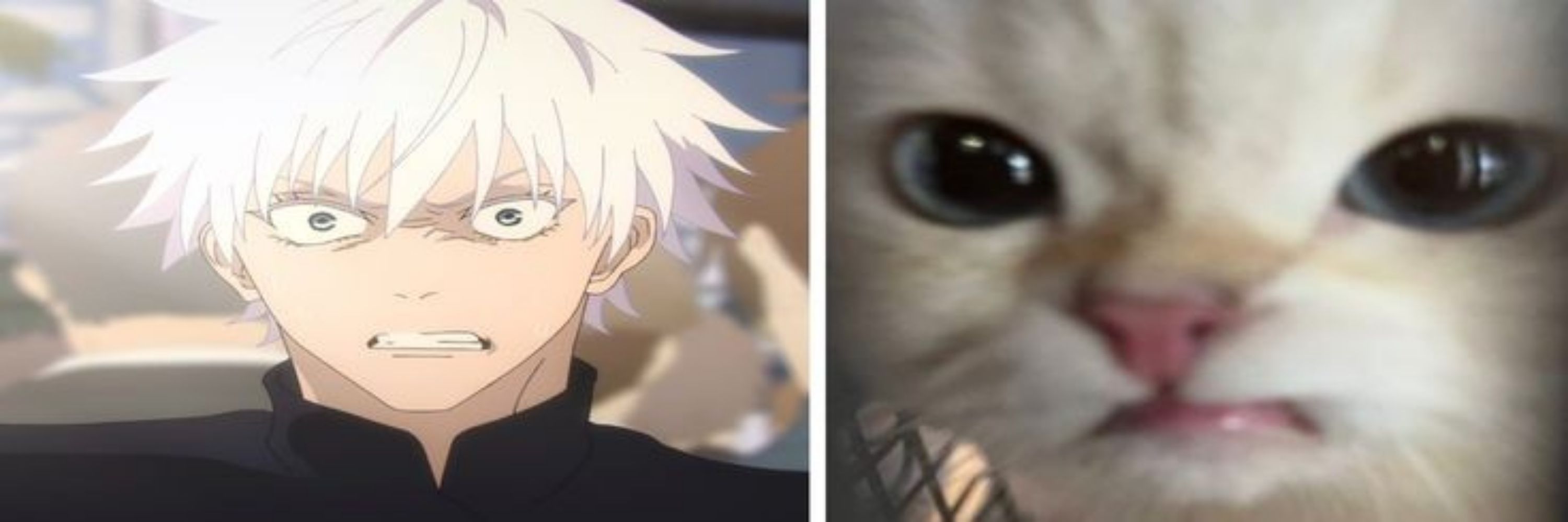 aka.ashi