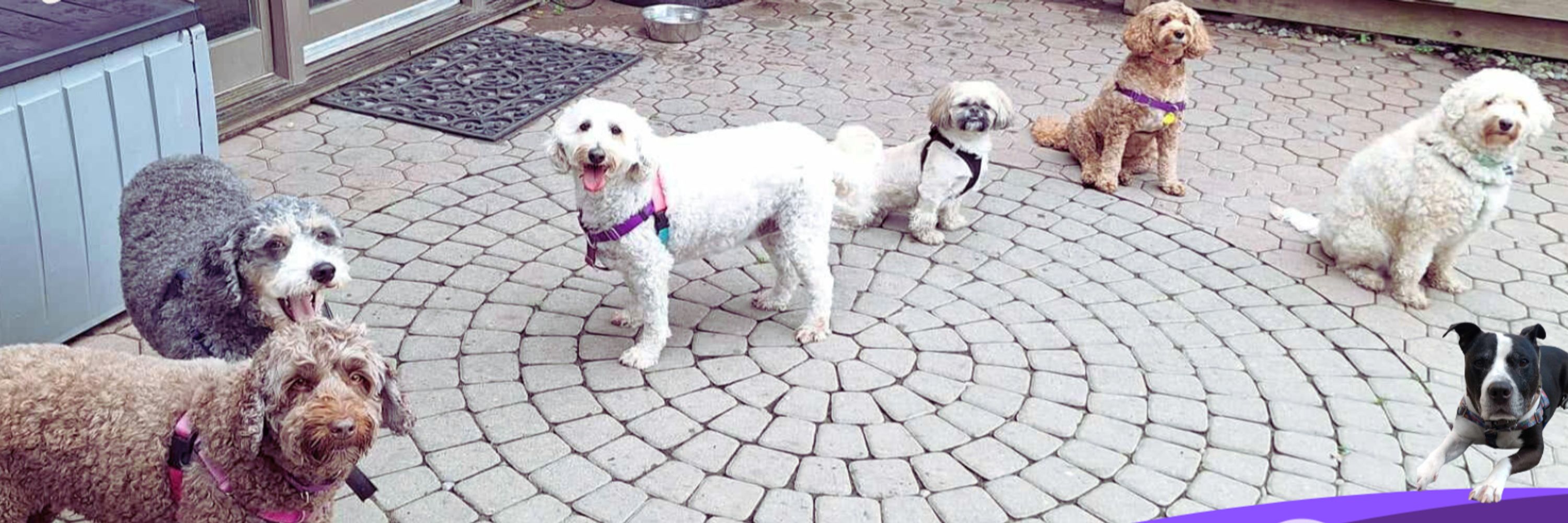 Lead The Way Training