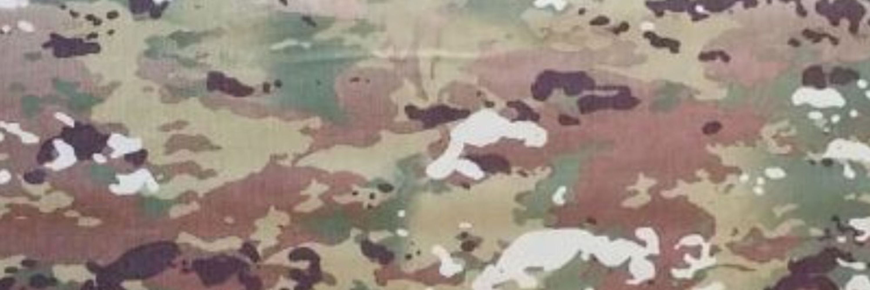 /r/Army