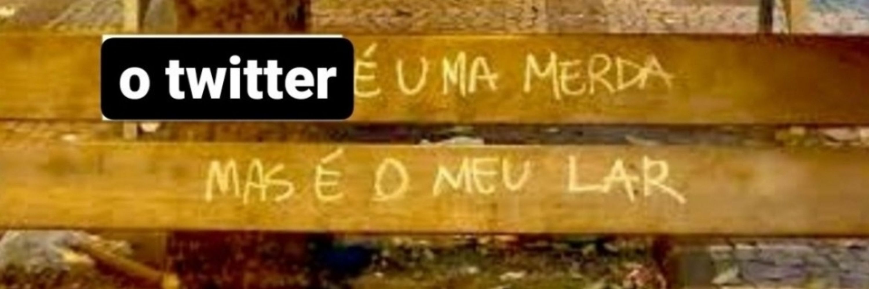 Pandinha alcoólatra 