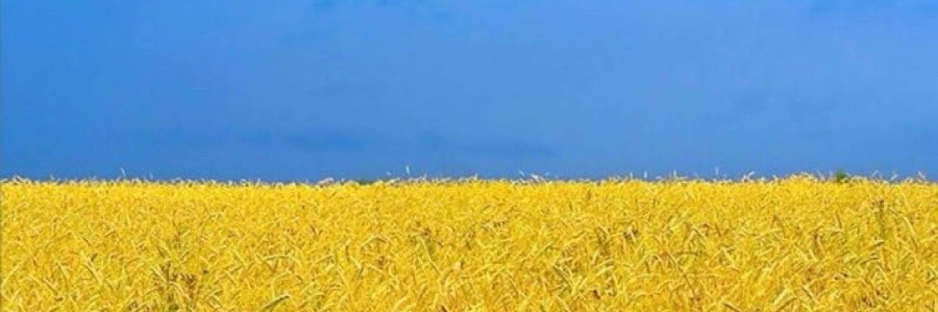Разíн  🇺🇦🔱