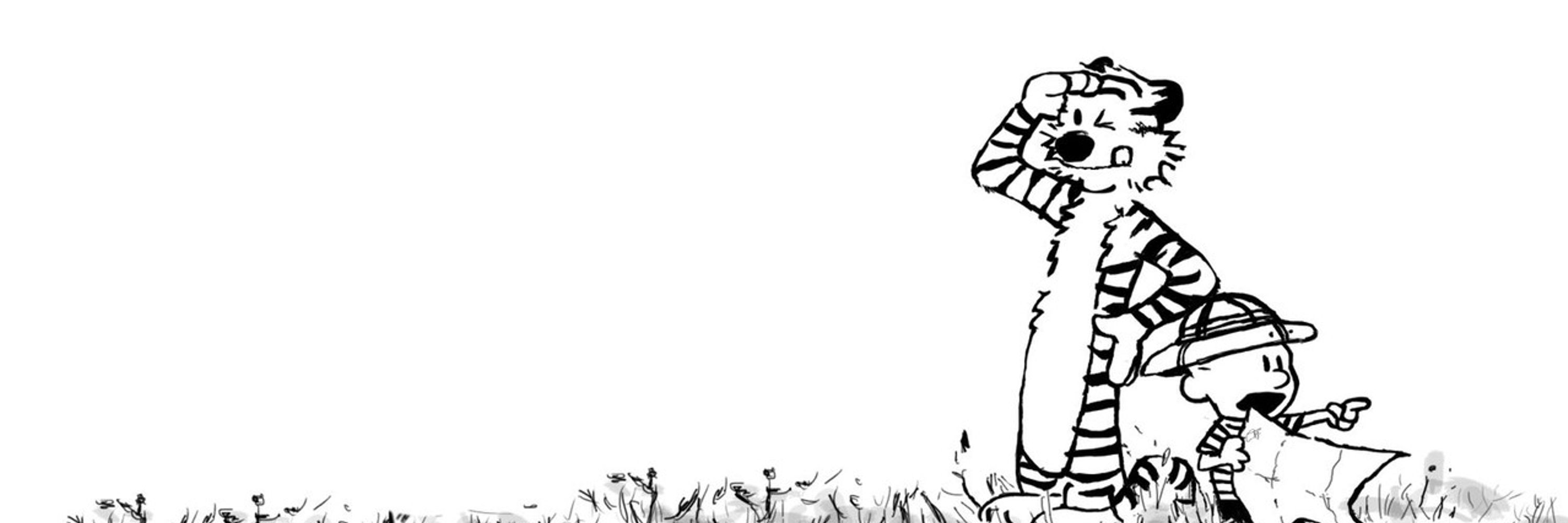 CALVIN AND HOBBES DAILY