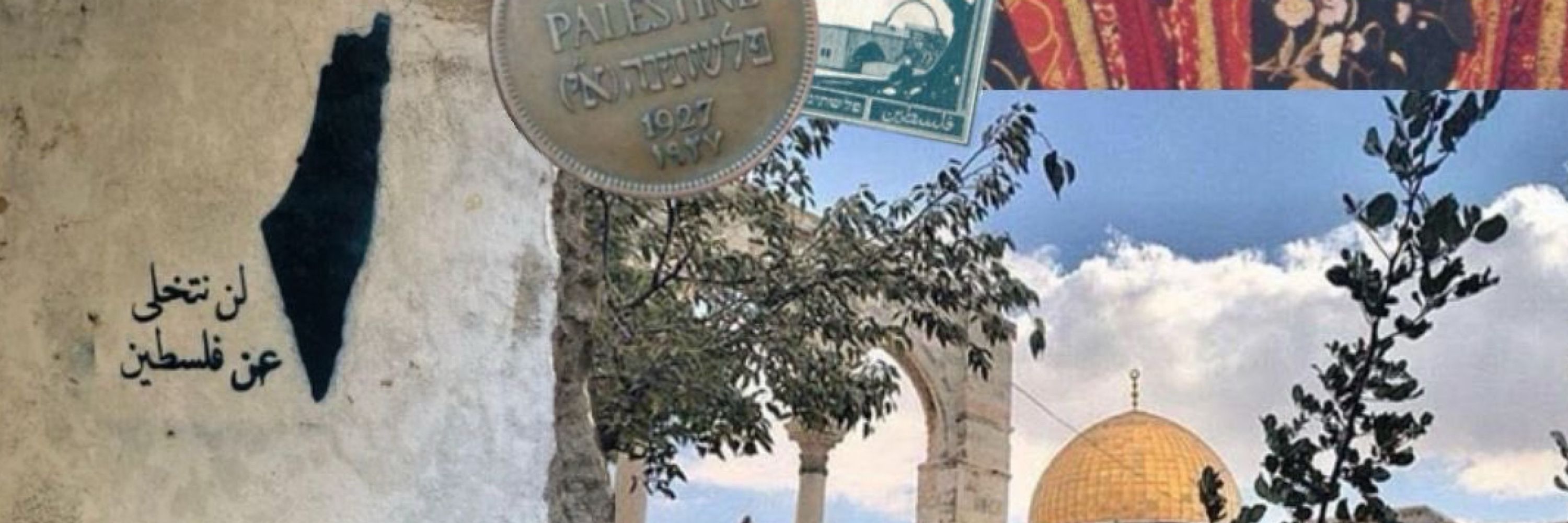 Ali Zrqa