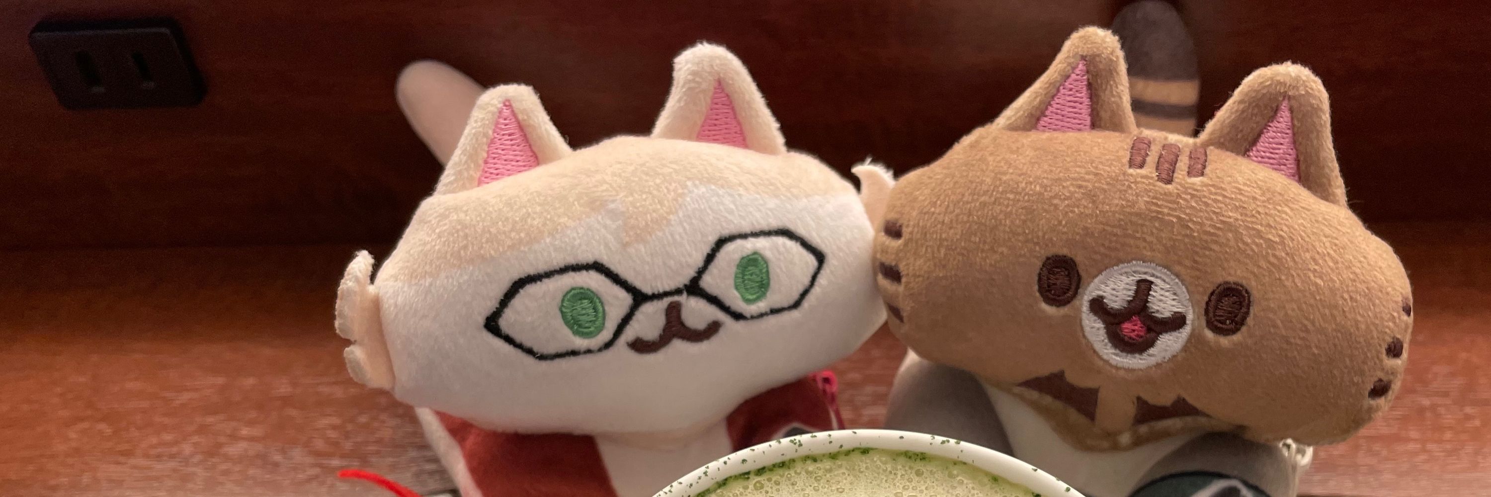 ネコスキイ