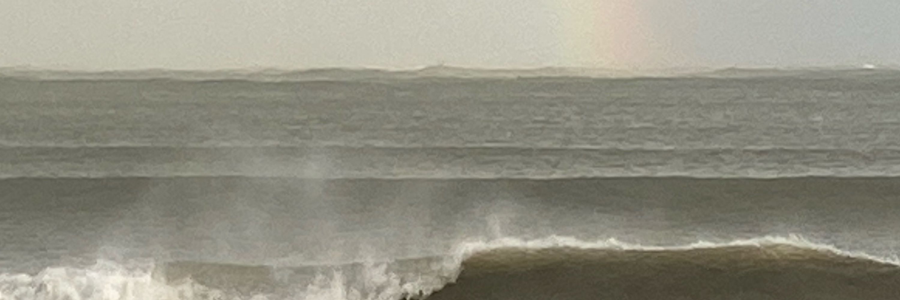 John Purcell