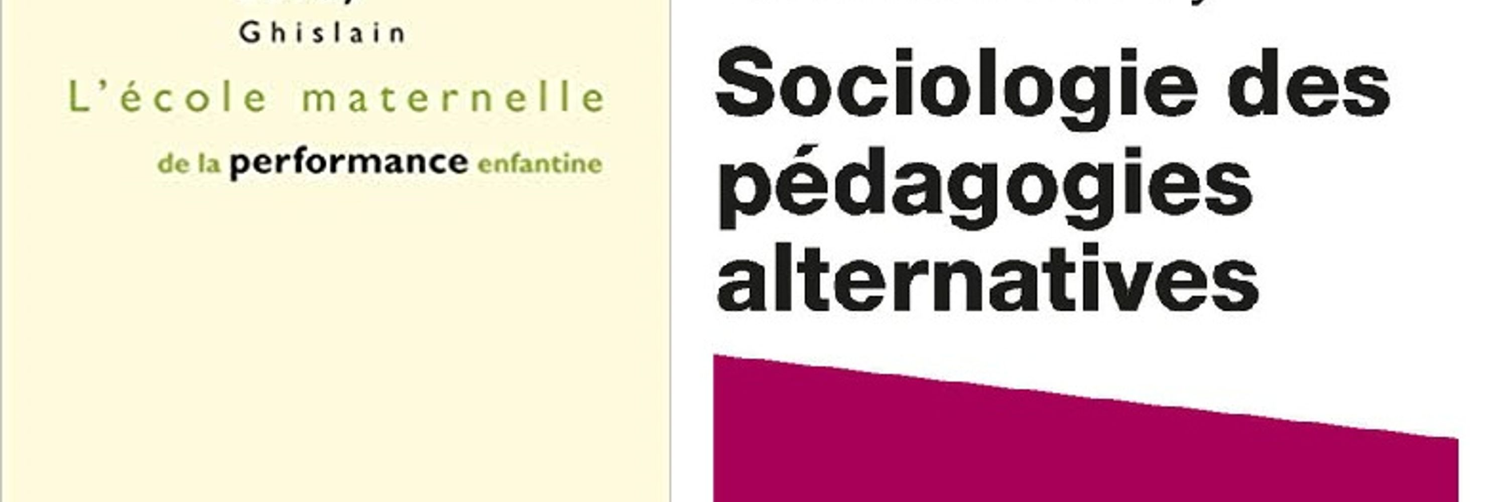 Ghislain Leroy, sociologue