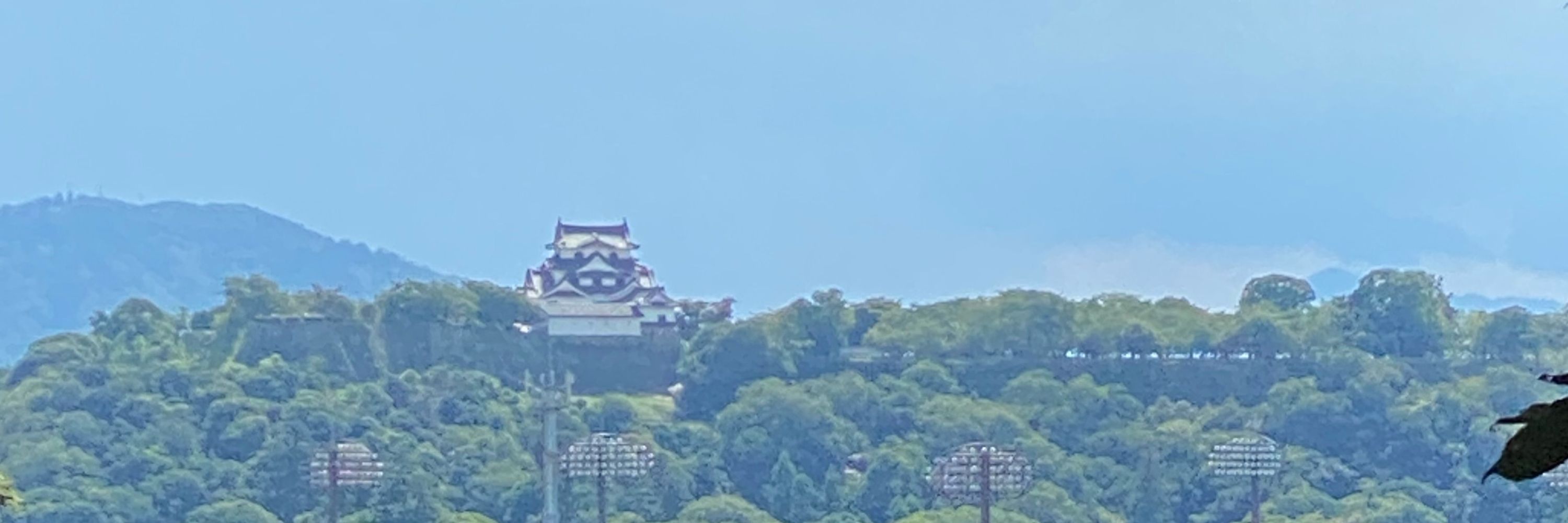 るいす