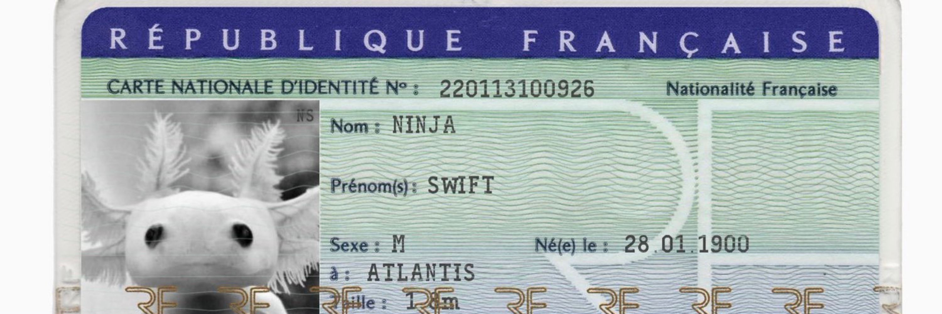 SwiftNinja 🐸